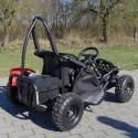 GoKart 1000w